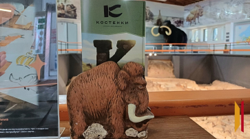 Воронежцев пригласили на праздник «Летний день в Костенках»