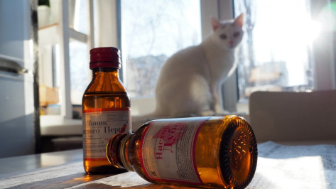 «Бороться не с настойками, а с контрафактом». Воронежский дилер – об особенностях рынка «фуфыриков»