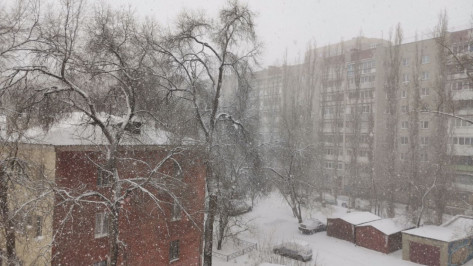 Метель и сильный снегопад задержатся в Воронежской области до 14 февраля