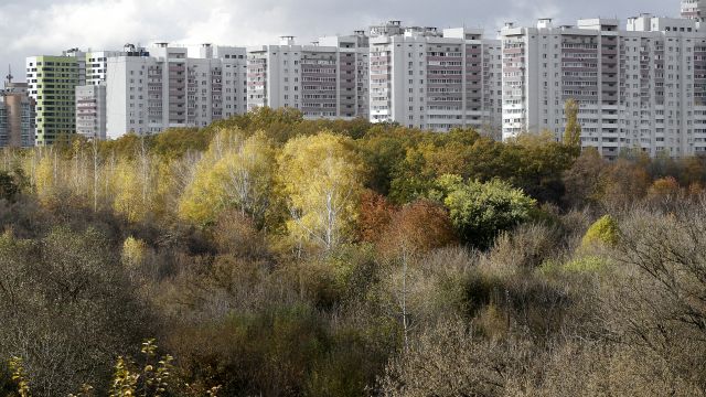 Новые правила землепользования дополнительно защитят воронежские зеленые зоны
