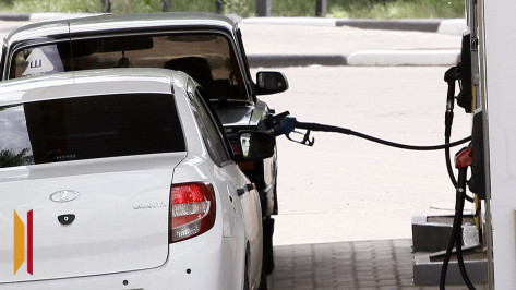 Две марки бензина подешевели в Воронежской области