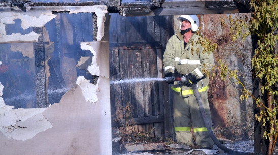 В Воронежской области на пожаре в доме погиб хозяин