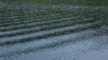 Мужчина утонул в Воронежском водохранилище у парка «Дельфин» 