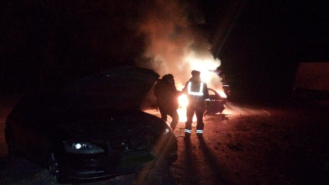 Полиция озвучила подробности массового ДТП с пожаром на воронежской трассе