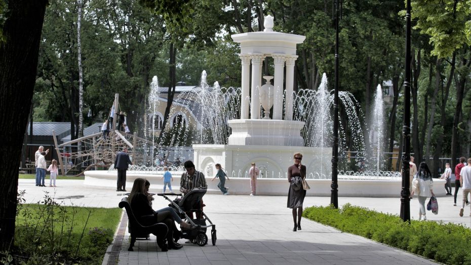 Воронежцев пригласили на праздник книг и мультфильмов в парке «Орленок»