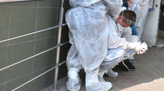 Более 170 воронежцев заразились COVID-19 за сутки