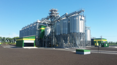 Завод по производству семян откроется под Воронежем  в III квартале 2018 года