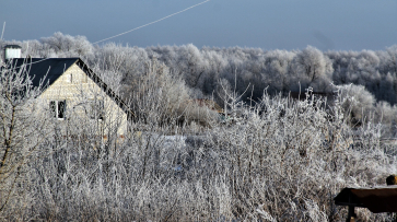 Воронежскую область накроет 20-градусный мороз