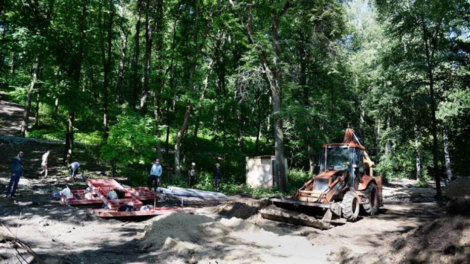 Границы воронежского парка «Динамо» защитят 140 табличками