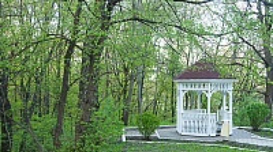 Мэрия Воронежа готовит перечень зеленых зон, которые в 2014 году получат статус особо охраняемых природных территорий городского значения