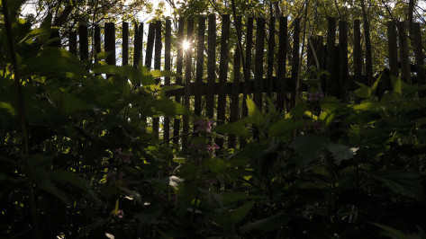 В Воронеже ввели бесплатное оформление разрешений на ограждение палисадников