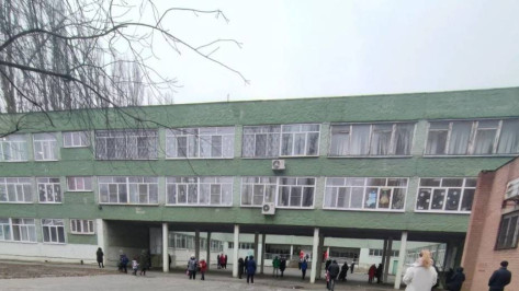 Состояние школы №88 в Воронеже привлекло внимание главы СК Александра Бастрыкина