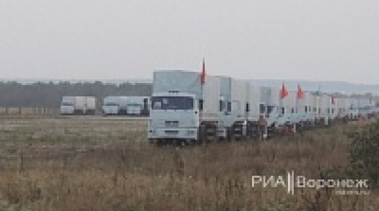 «Белый конвой-2» проехал через Воронежскую область на юг