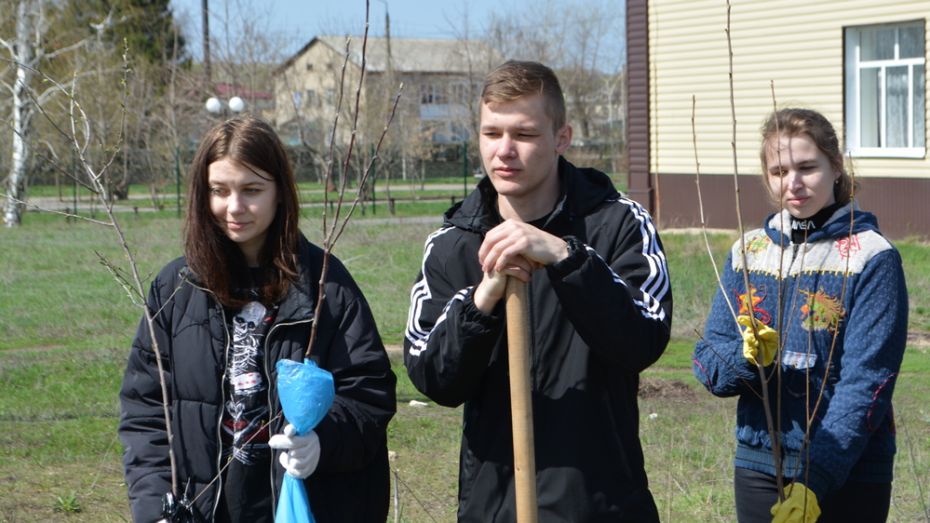 Одиннадцатиклассники Петропавловской школы поучаствовали в акции «Сад выпускников»