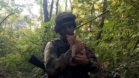 Многодетная семья из Воронежской области отправила в помощь бойцам СВО кошку Дусю