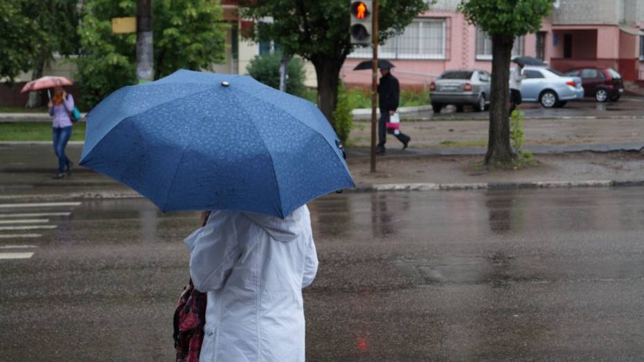 Дождливая погода сохранится в Воронеже на выходных