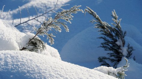 Gismeteo: высота снежного покрова в Воронеже достигла 38 см в феврале-2018