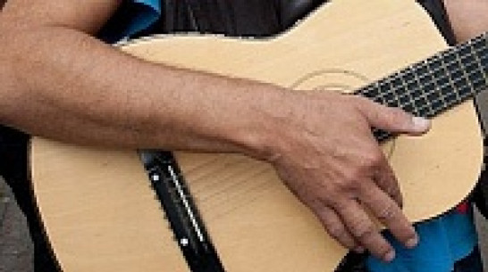 Депутаты Воронежской облдумы предложили запретить петь и ругаться ночью