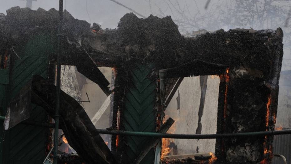 Следствие: мужчина, погибший на пожаре в Верхнем Мамоне, мог сам поджечь дом 