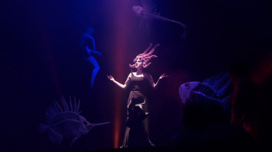 События фестиваля «Маршак» посетили 18 тыс воронежцев