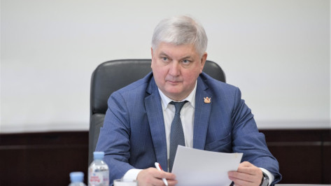 Губернатор Александр Гусев рассказал в Минэкономразвития РФ, почему инвесторам нужно выбирать Воронежскую область