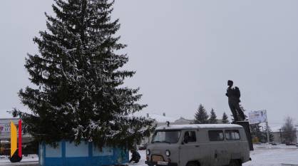 В Острогожске супруги Котовы подарили городу 17-метровую ель