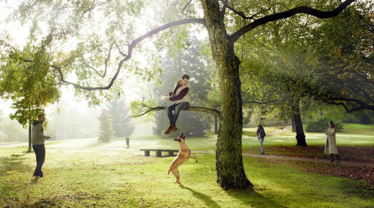 «Дом.ru» проведет Wi-Fi во дворы Воронежа 