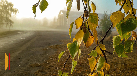Туман в Воронежской области задержится