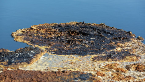 Неголубая лагуна. Жители Воронежской области пожаловались на котлован «ЛИСКо Бройлера»