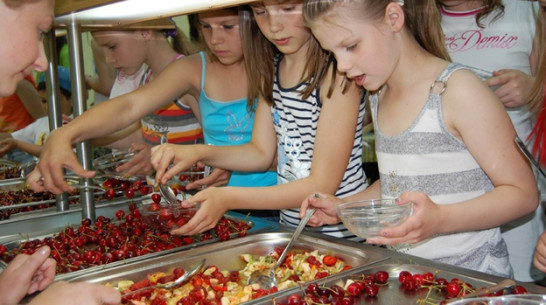 Богучарский района получил субсидию на организацию отдыха и оздоровления школьников