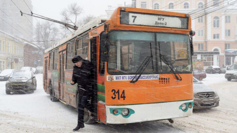 Власти собрались «воскресить» воронежские троллейбусы с помощью «Мосгортранса»