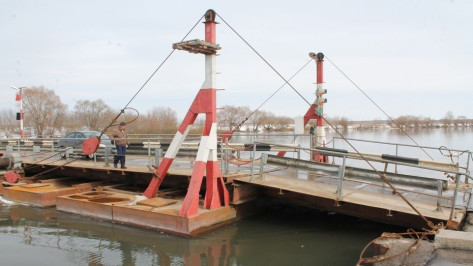 В Воронежской области назвали примерные даты открытия наплавных мостов