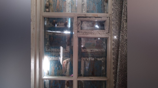 В Воронежской области семейство летучих мышей поселилось между ставнями и окном в жилом доме