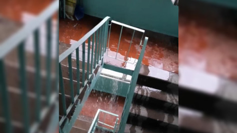 Видео: сломанная труба привела к потопу в подъезде воронежского дома во время ливня