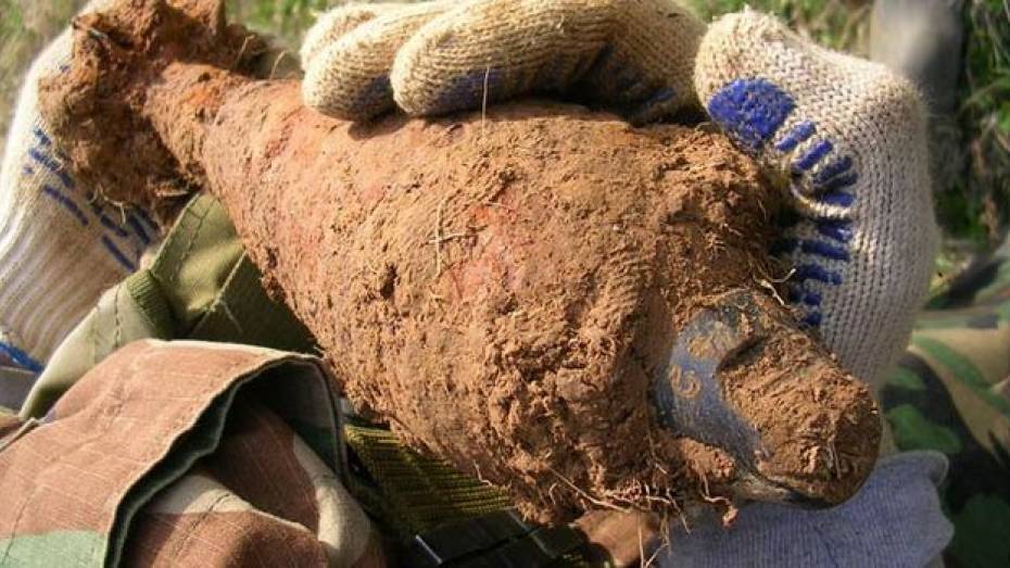 Воронежцы, отдыхавшие под Рамонью, нашли минометную мину