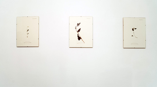 Воронежский художник Илья Долгов получил премию на Всероссийском конкурсе «Инновация»