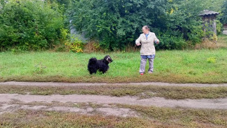 В Таловском районе появится первая площадка для выгула собак
