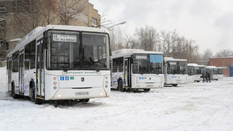 Модель транспортной системы Воронежа подготовят к 15 августа