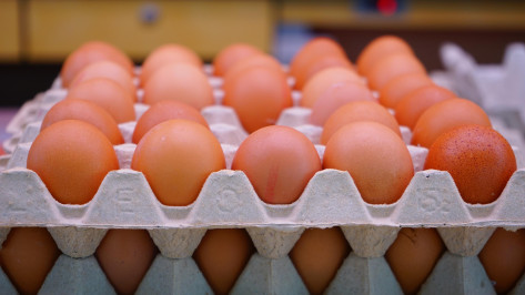 «Ситуация будет исправлена в ближайшее время»: Президент РФ – о повышении цен на яйца