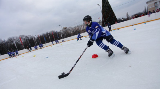 Помощник президента России Игорь Левитин позаботится о воронежском льде