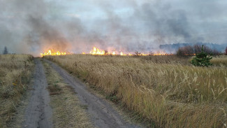 Ландшафтные пожары подобрались к Воронежу