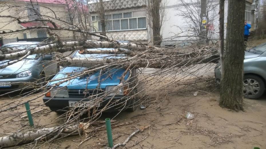 Воронежцы 2 тыс раз позвонили спасателям с жалобами на ветер