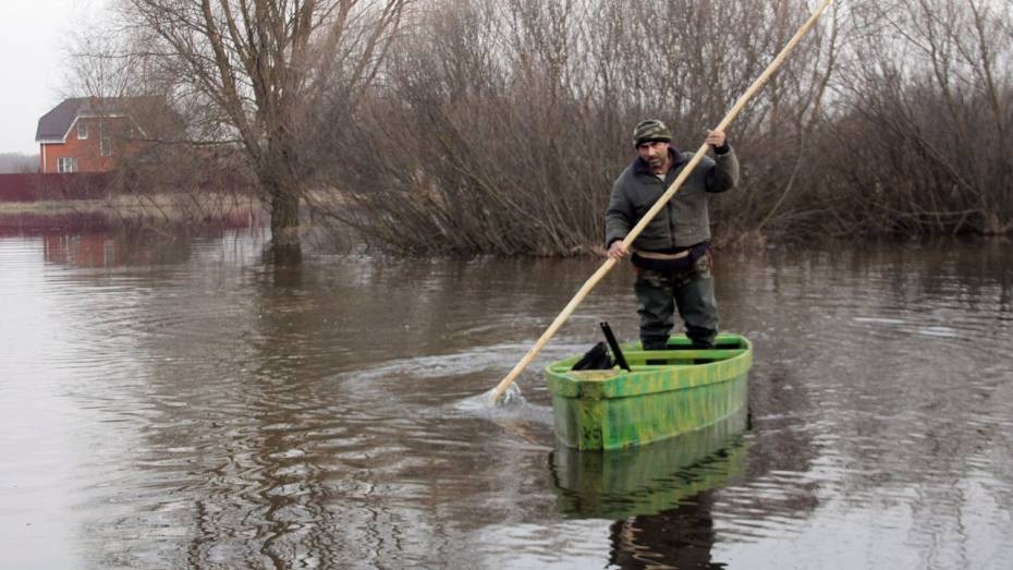В Воронежской области остаются затопленными 8 мостов