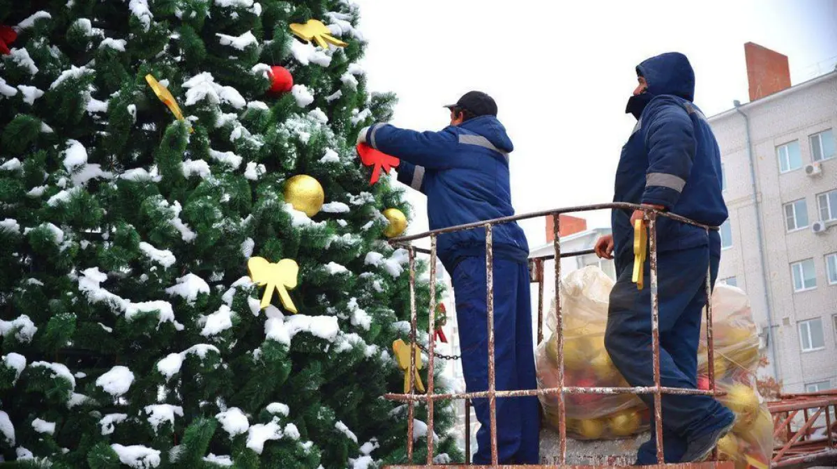 Пусть народ порадуется». Новогодние приключения елок в Воронежской области