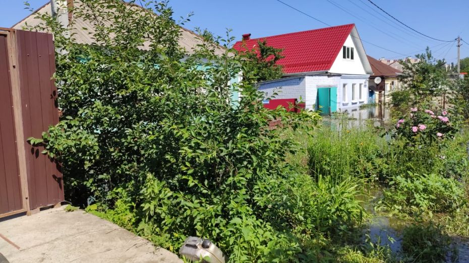 Мэрия пообещала временно расселить жильцов затопленных домов на левом берегу Воронежа