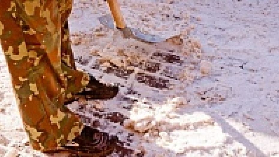 Власти Воронежа хотят поручить очистку тротуаров от снега специальной технике 