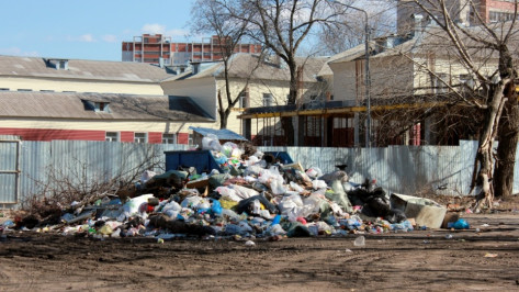 Число кластеров по переработке мусора в Воронежской области увеличится до 15