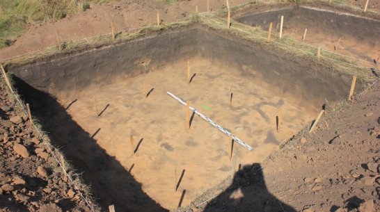 Череп ребенка обнаружили археологи в ходе раскопок в Воронежской области