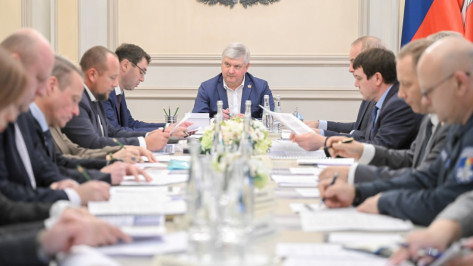 Губернатор Александр Гусев: «Воронежские УК могут лишиться лицензий из-за плохой уборки снега»