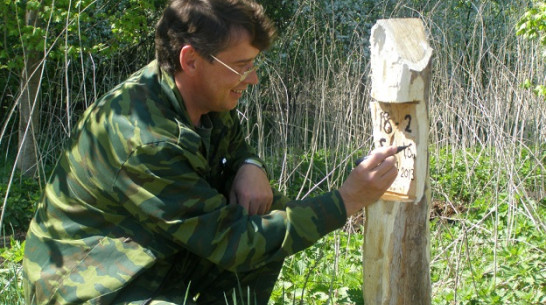  В Нижнедевицком районе высажено более 60 тысяч саженцев черешчатого дуба 